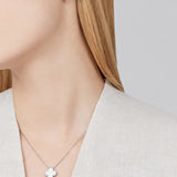 CLOVER | Premium White Bundle